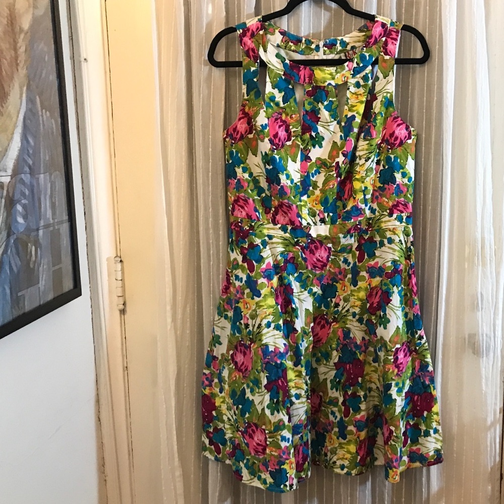 Vintage Floral Print Sleeveless Knee Length A Line Dress